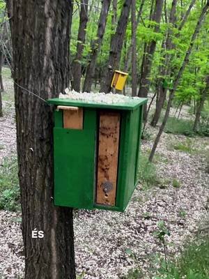 Újabb kazetták méhekkel kerültek kihelyezésre  #precíziósméheszet #meliovate #méhészet #méhésztelep #anyanevelés 
