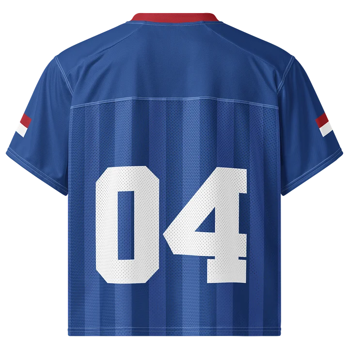 Netherlands Boxy Sports Tee product image (2)