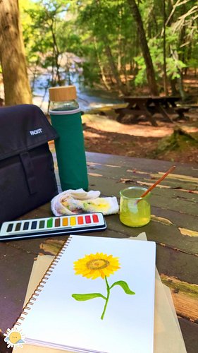 Removed from distractions. Fresh air, calming sounds of nature, & hobbies that quiet the mind & satisfy the heart. 

My name ...