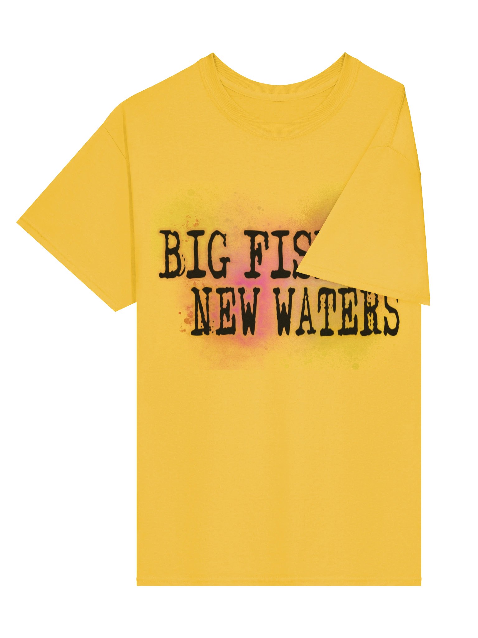 BIGFISH T-SHIRT (FULL) product image (20)