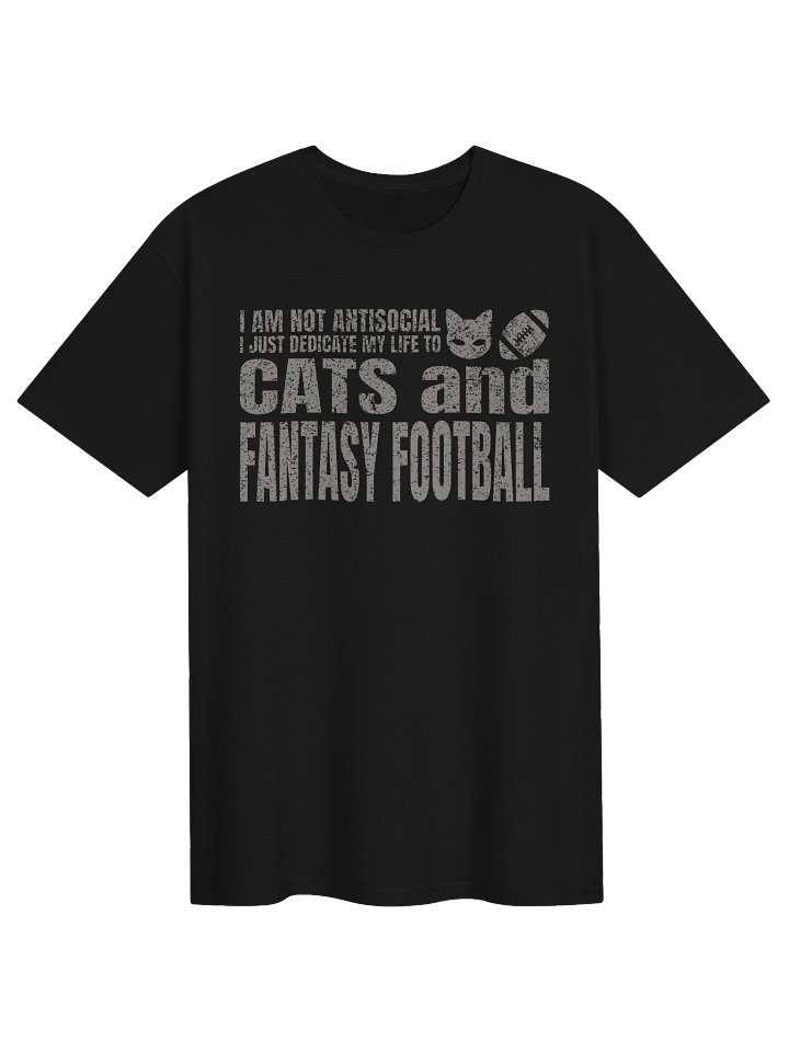 Fantasy Football Cat 1 - Unisex Adult Super Soft Lightweight T-shirt product image (13)