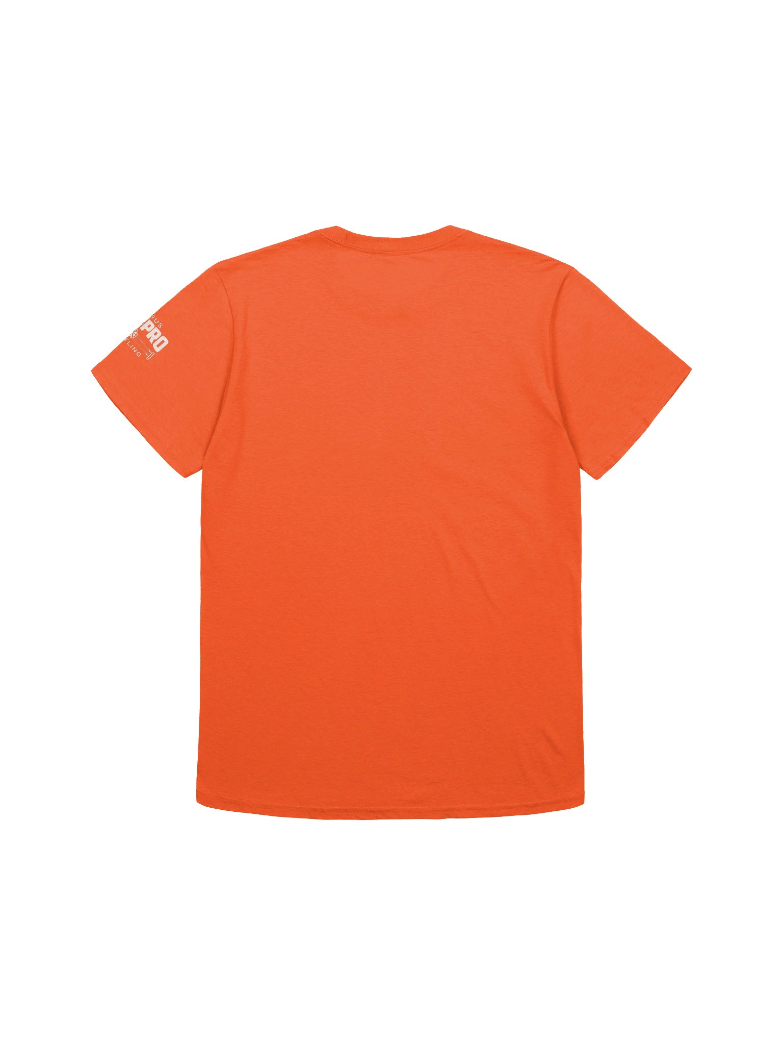 CAPW "Pulp Friction" Vintage Graphic Tee product image (2)