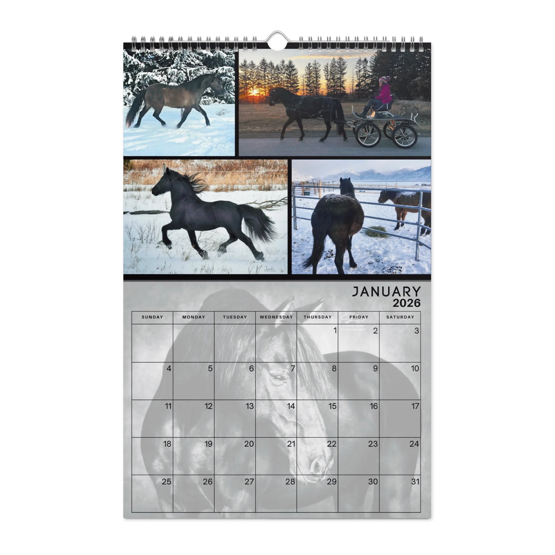 2026 Moriesian Horse Registry Calendar product image (6)