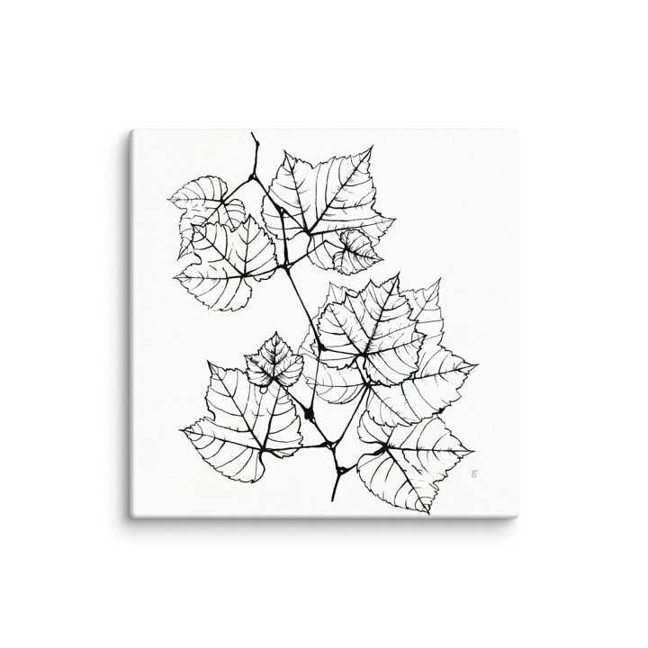 Blank Canvas: Unleash Your Artistic Vision - Grape Leaves Elegant product image (1)