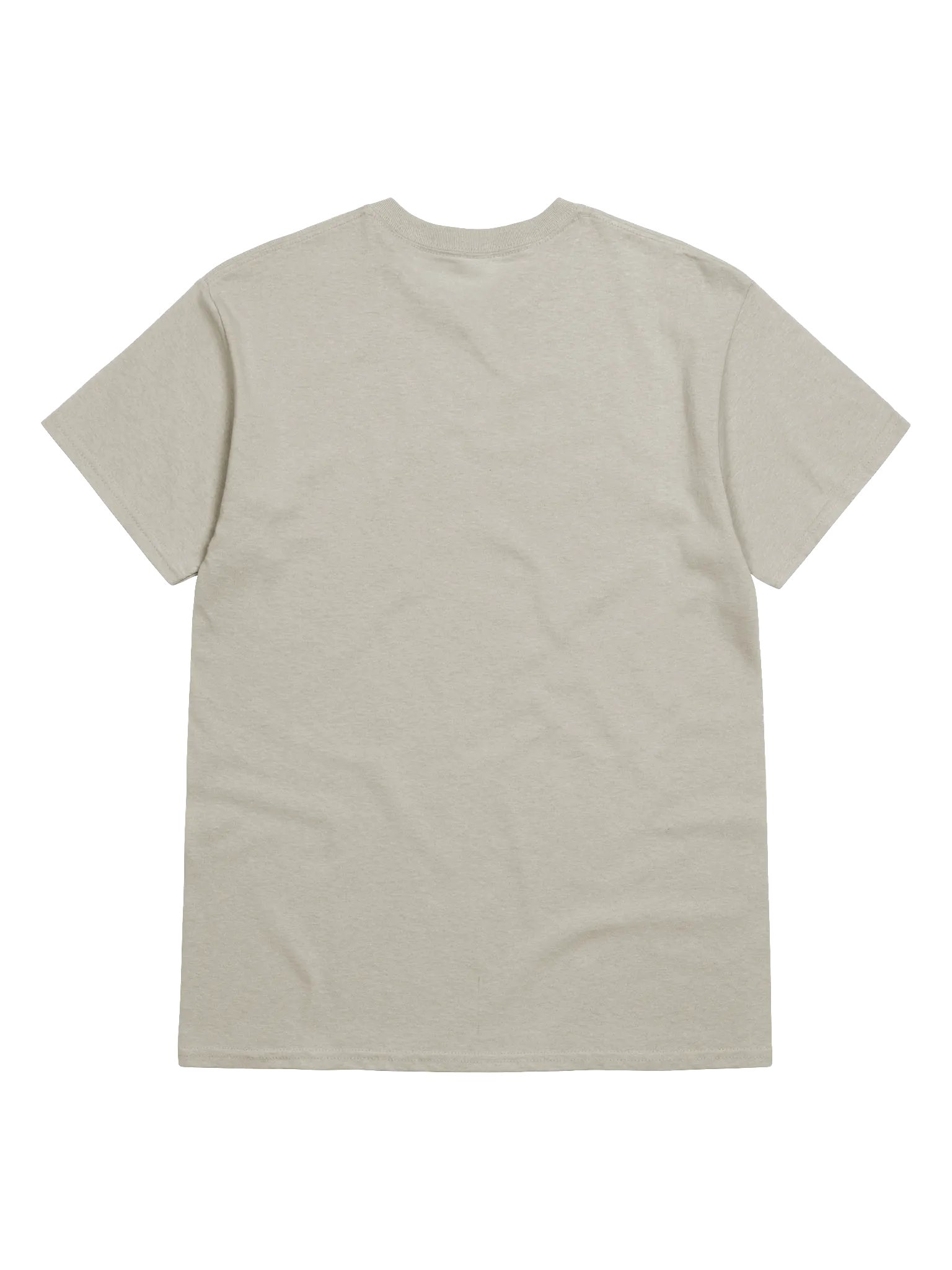 The Lion of Judah Has Overcome T-Shirt product image (6)