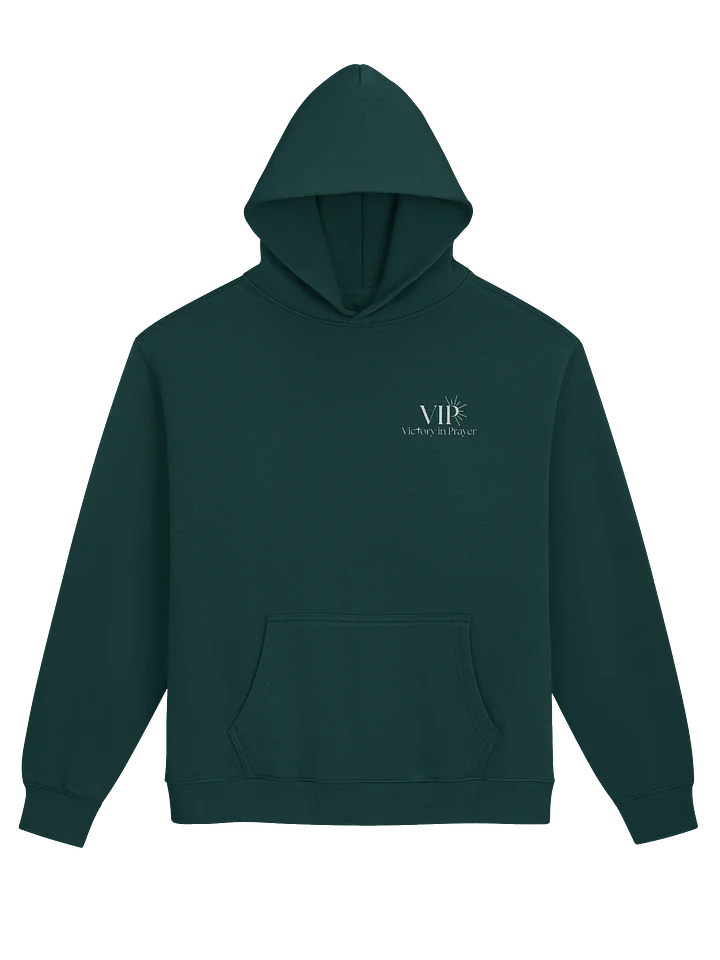 VIP 1 Corinthians 13:4 Unisex Premium Hoodie product image (1)