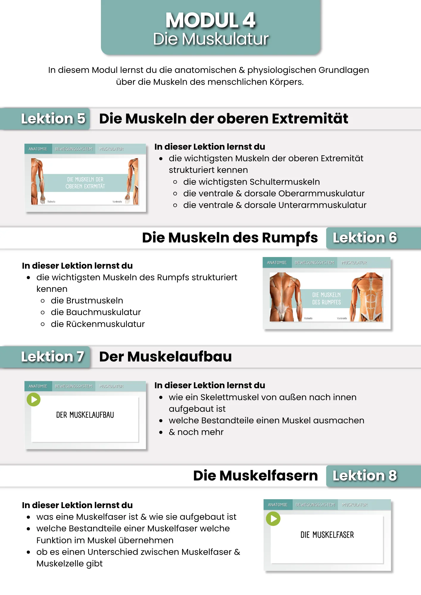 Das Bewegungssystem | der Grundlagenkurs product image (6)
