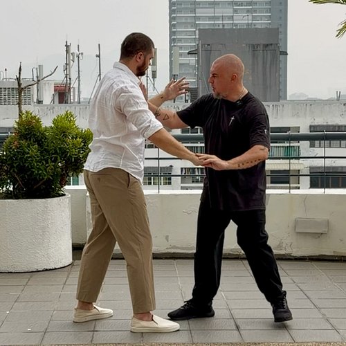 Out and about on Asian rooftops filming fairly advanced material for the Internal Arts Academy. 
This time looking at Taiji a...