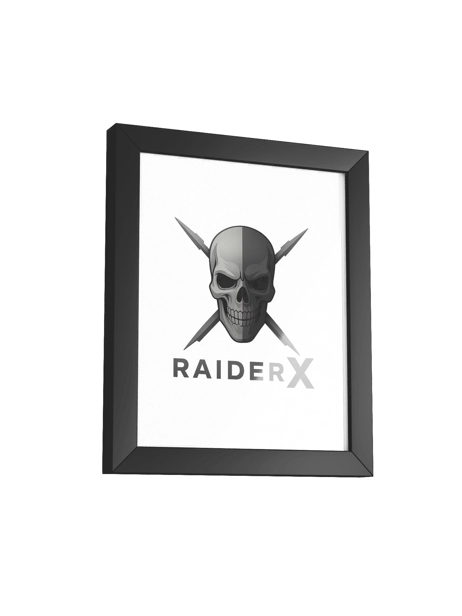 Raider-X product image (9)