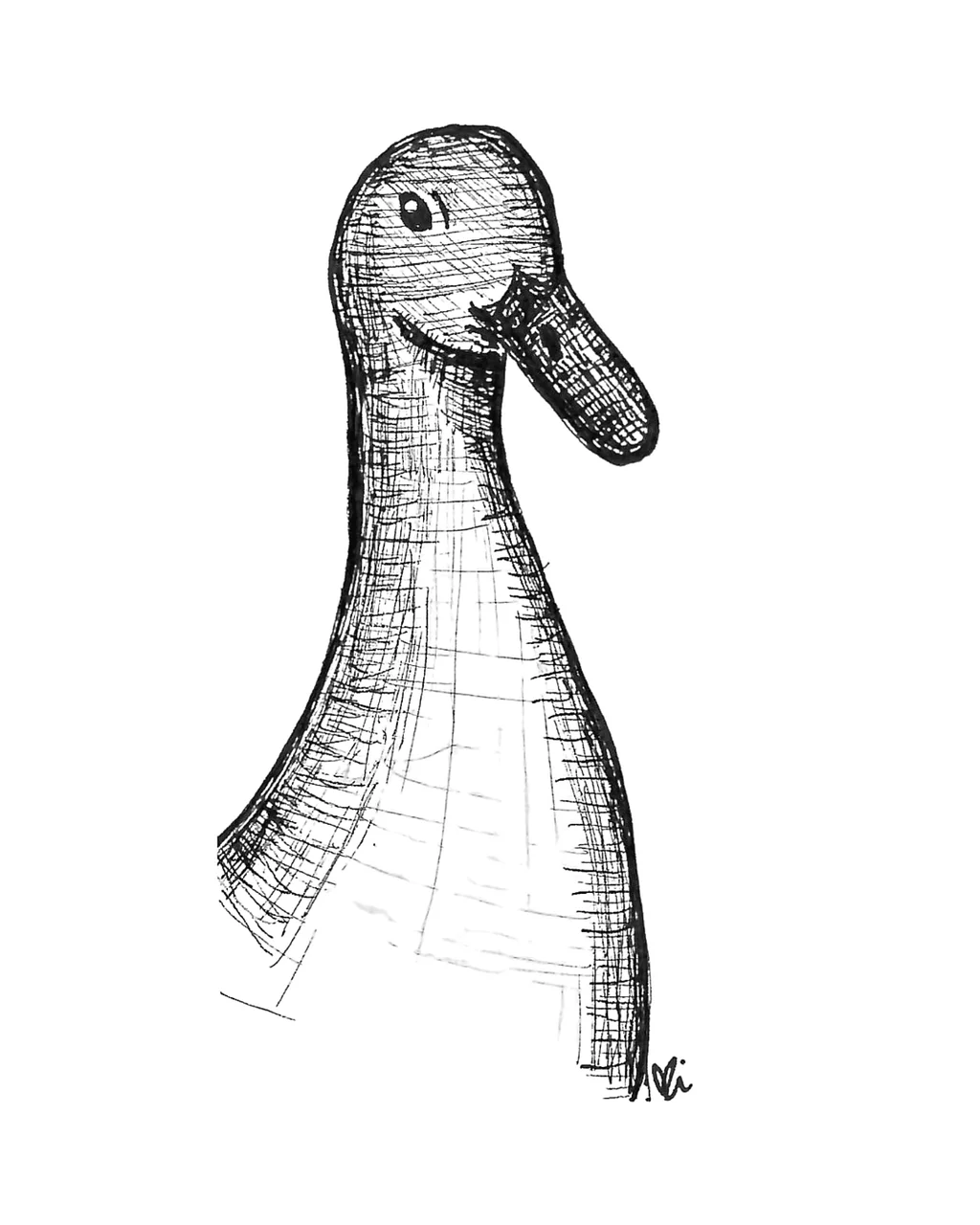 Pen and Ink sketch of a duck done by Bri