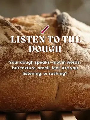 🌡️ Listen to the Dough Your dough speaks—not in words, but texture, smell, feel. Are you listening, or rushing? #Parenting #kingarthurflour #DIY #bread #viralvideo #viralreels #sourdoughbreadrecipe #foryoupagereels #foryoupage #sourdoughforbeginners #sourdoughdiscardrecipe #sourdoughdiscardrecipes #sourdoughdiscard #sourdoughscoring #sourdoughstarterdiscard #sourdoughstarter #sourdoughbreadart #sourdoughbaking #sourdoughbaker #sourdough_mania #sourdoughbread #breadxbaker #sourdoughbread #foryoupageofficiall #foryoupag #fypsounds #catsoftiktok #art #beautiful #love