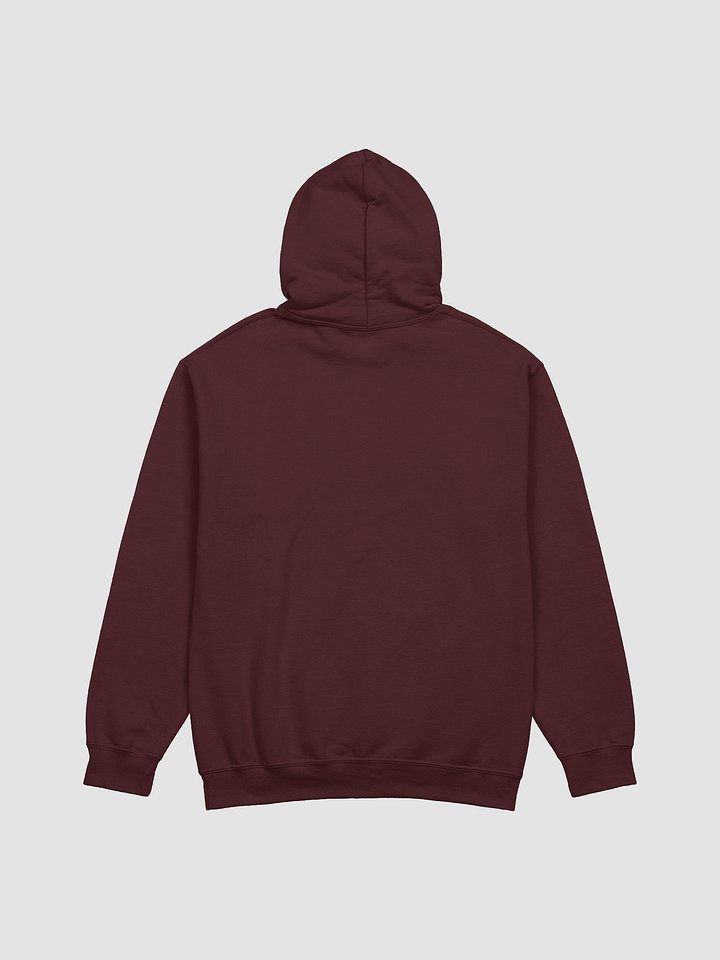 Mirror Hoodie product image (2)