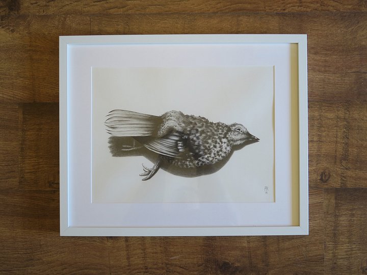 original artwork : passed product image (2)