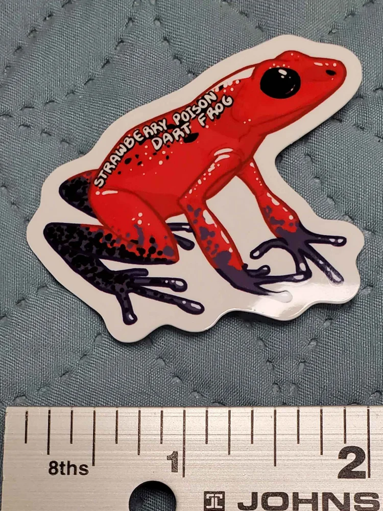 Strawberry Poison Dark Frog Sticker product image (4)