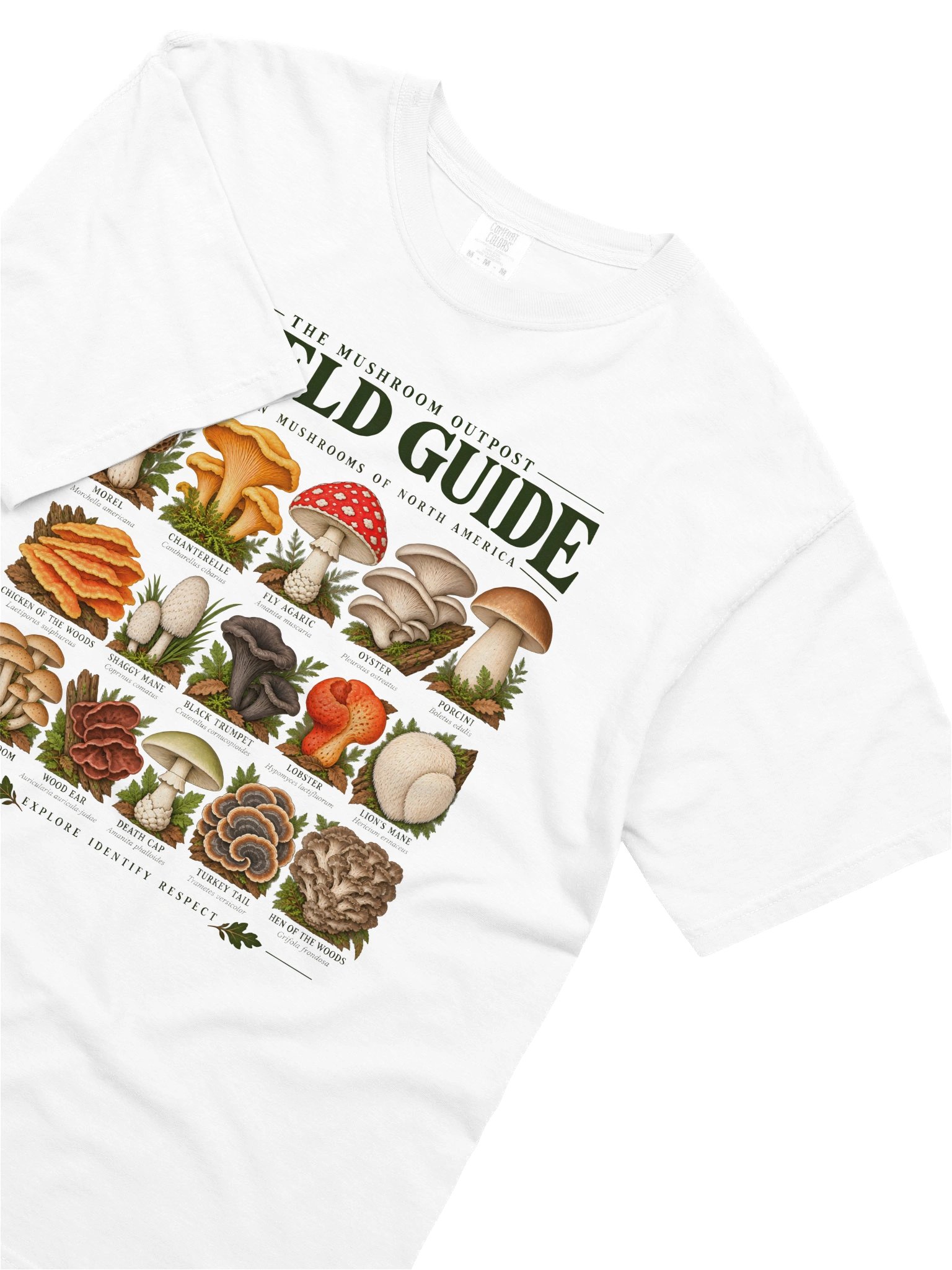 The Field Guide Tee product image (10)