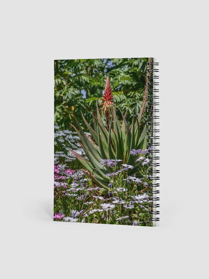 📓 Notebook Collection PURE – Jardin du Rayol – Aloe & Marguerites du Cap product image (2)