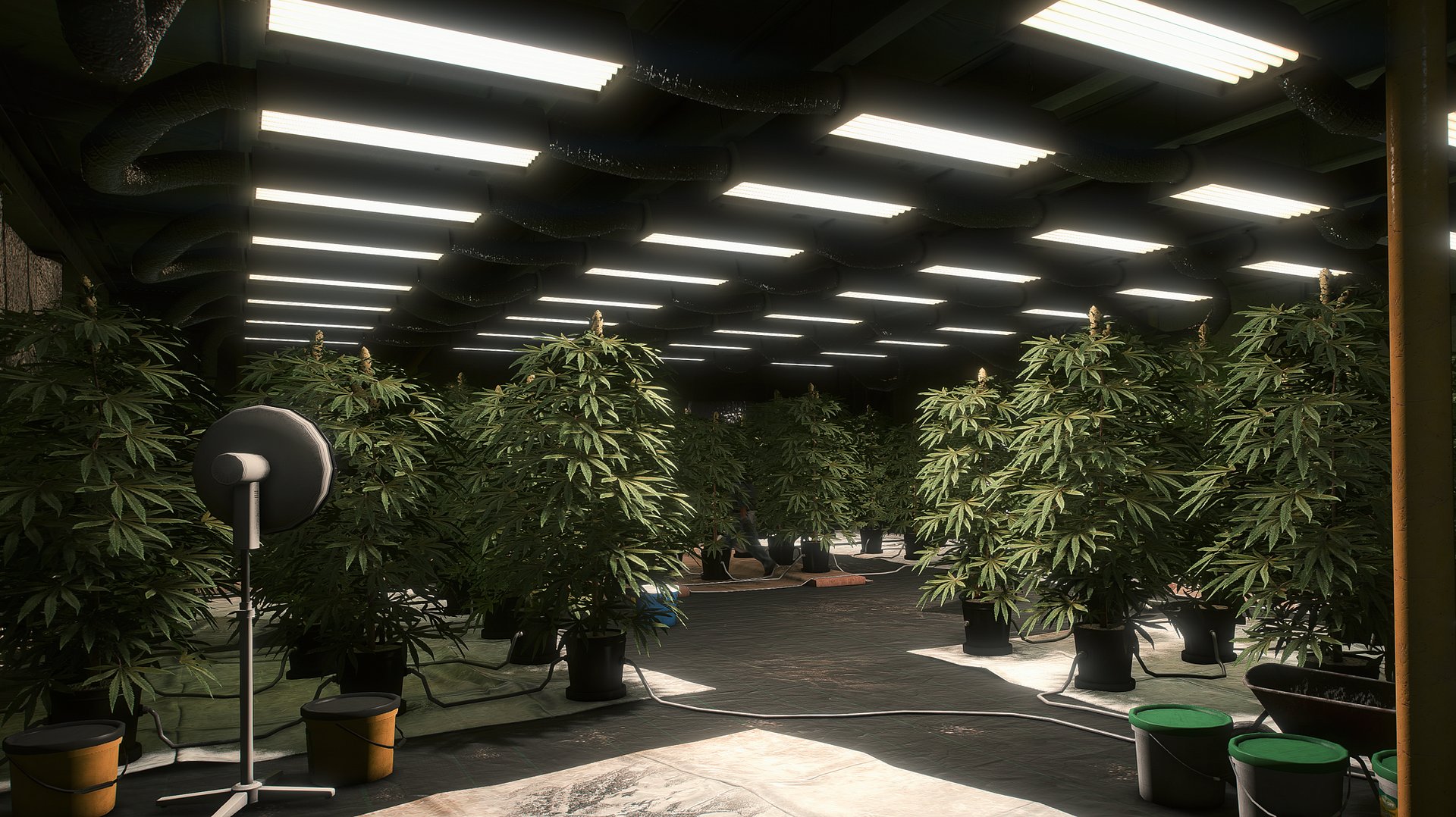 FiveM Manageable Multiplayer Drug Laboratory Script - Drug Business [ QB / ESX / QBOX ] product image (5)