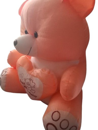 Teddy Bear SOFT TOY product image (2)