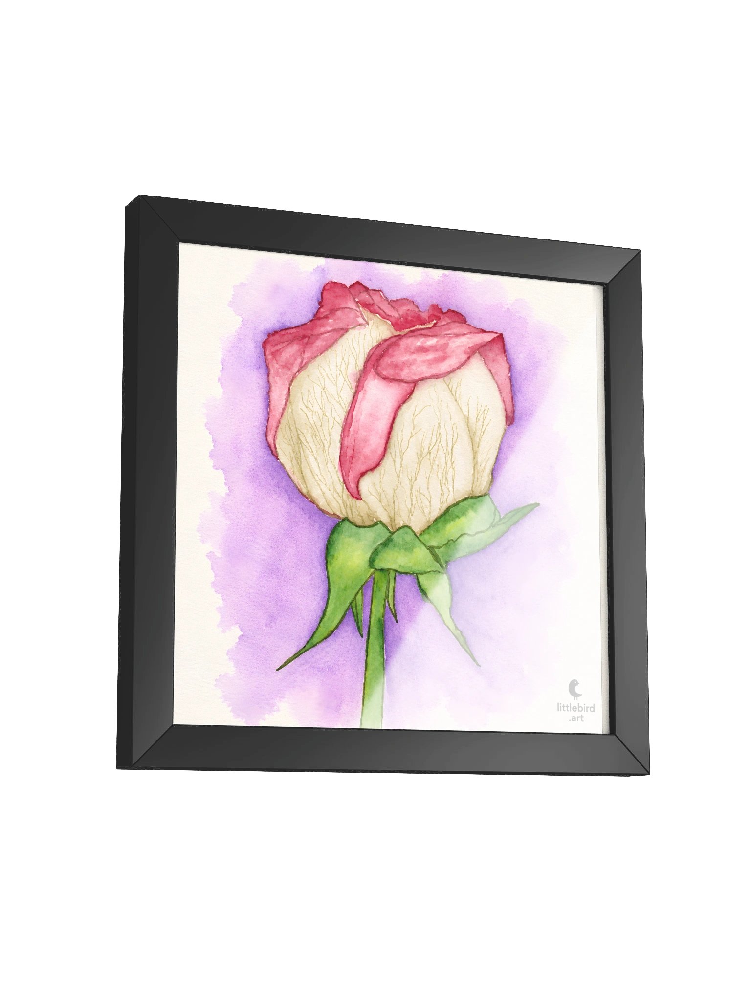 Pressed Memories product image (39)