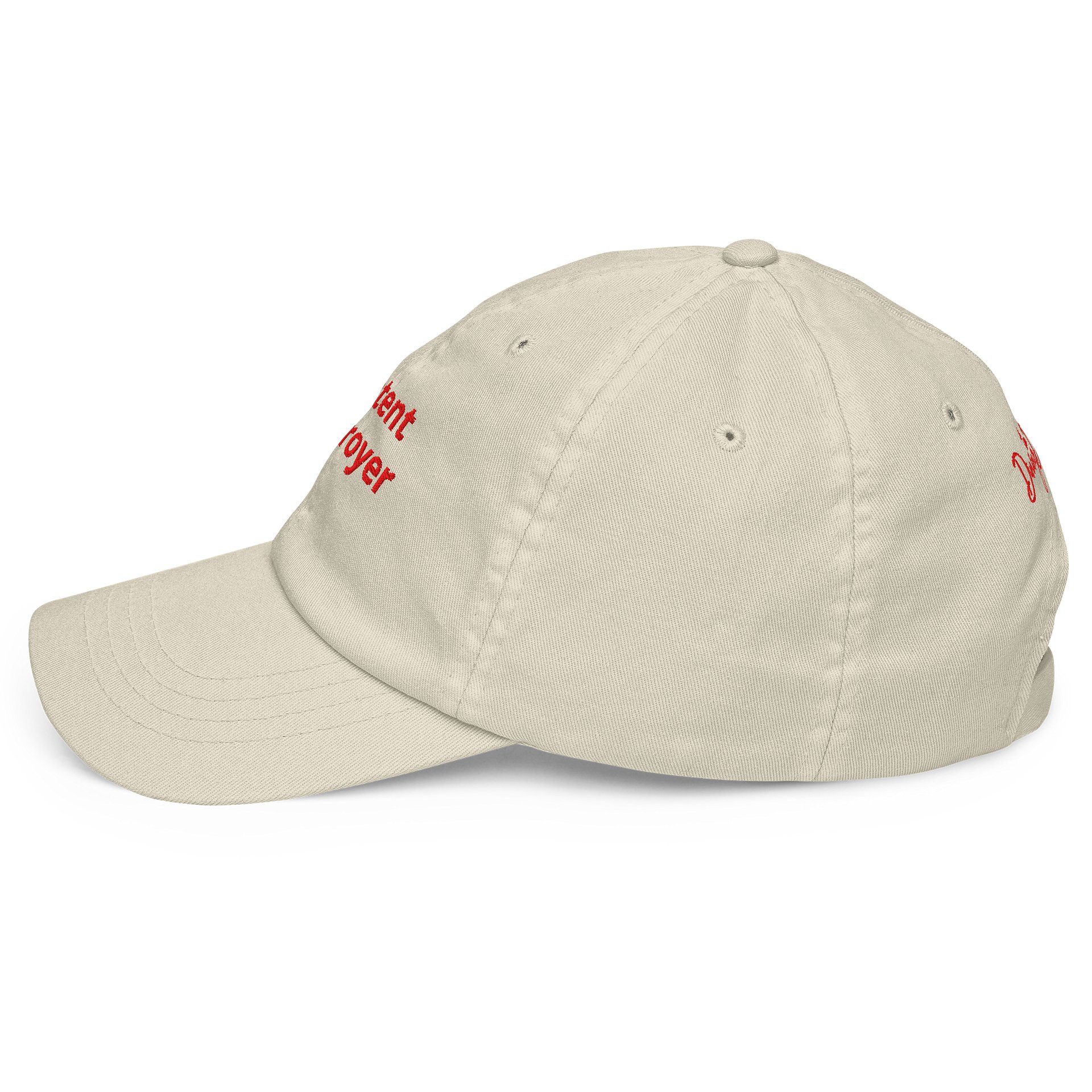 content destroyer hat product image (4)