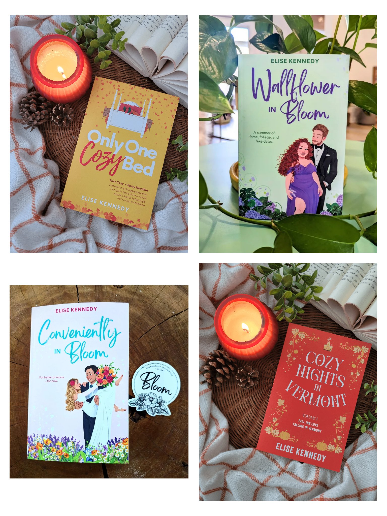 Fake Relationship Paperback Bundle product image (1)