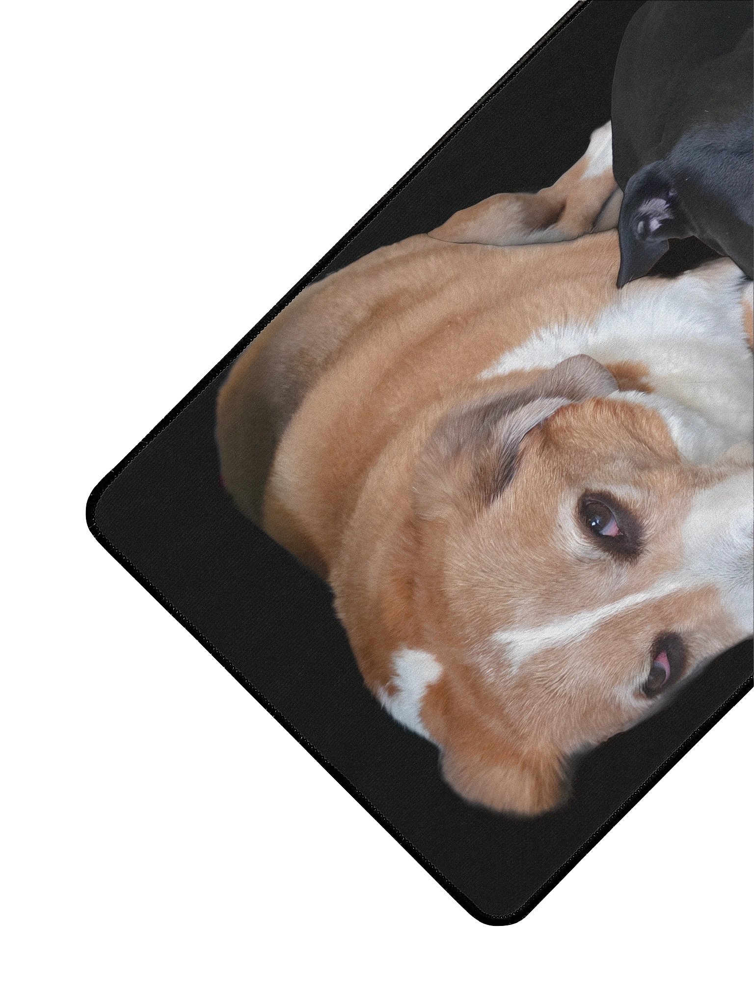 Murphy and Shadow Mouse Pad product image (3)