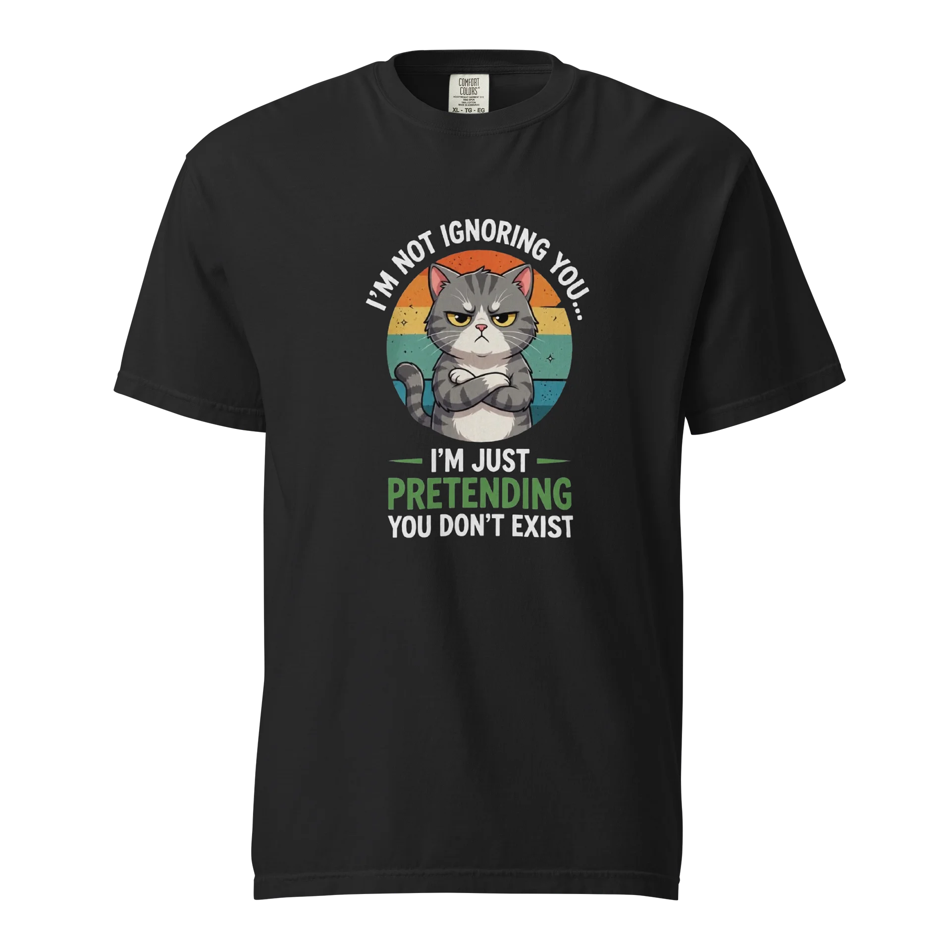 Funny Grumpy Cat Quote T-Shirt Design PNG | Vintage Retro Cat Graphic for Print on Demand product image (1)