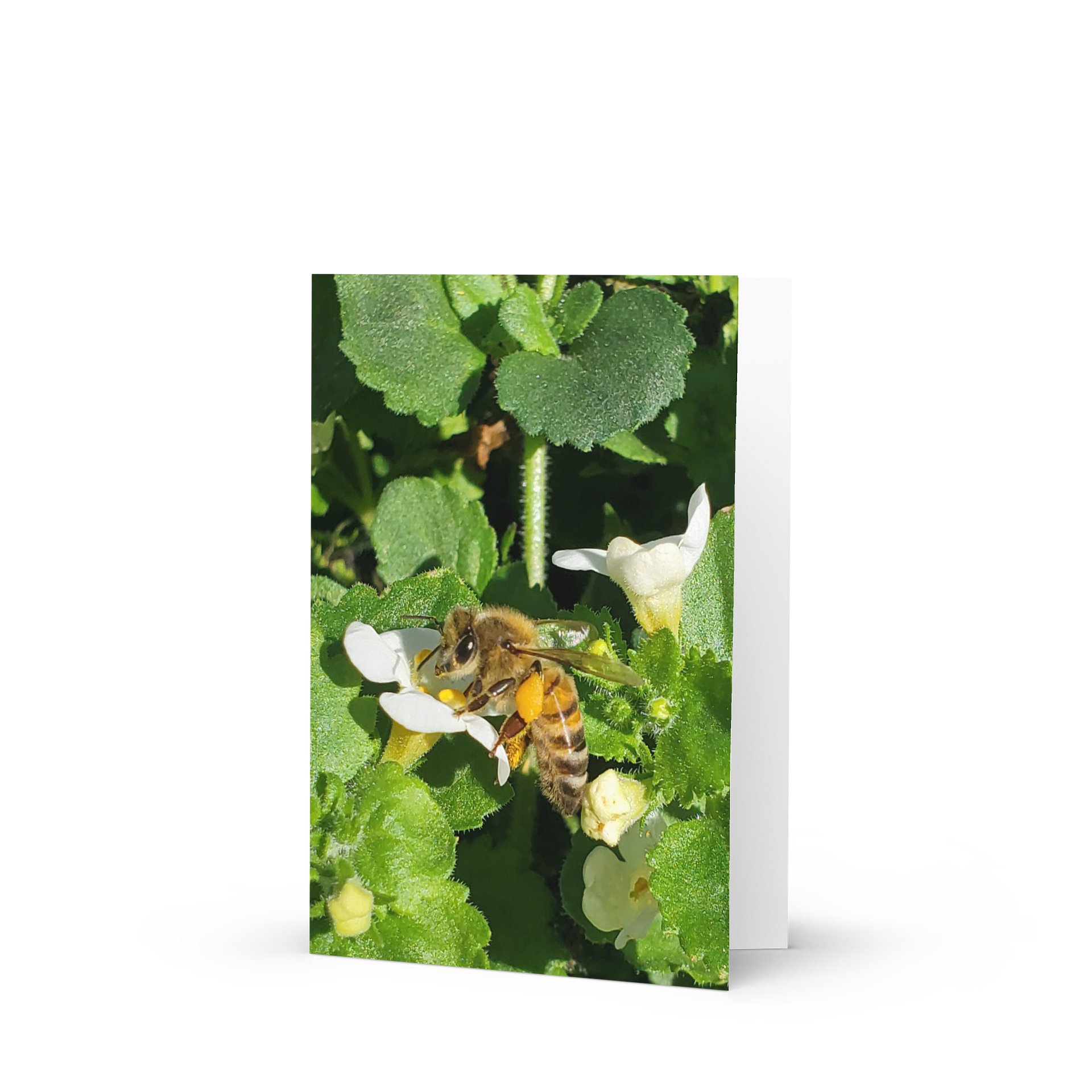 Fetching Pollen Bee Greeting Card product image (1)