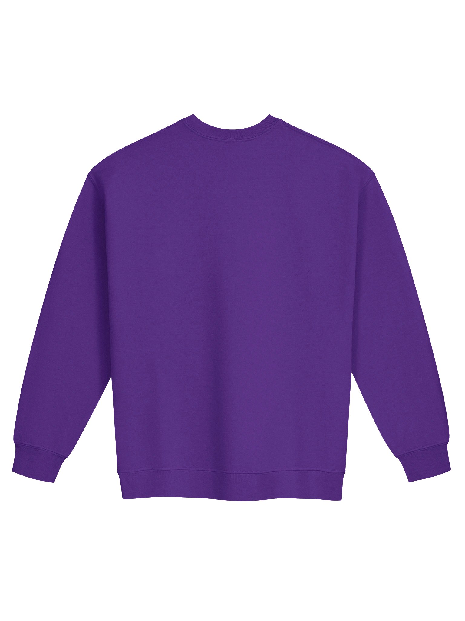 Sweatshirt with Printed Logo product image (2)
