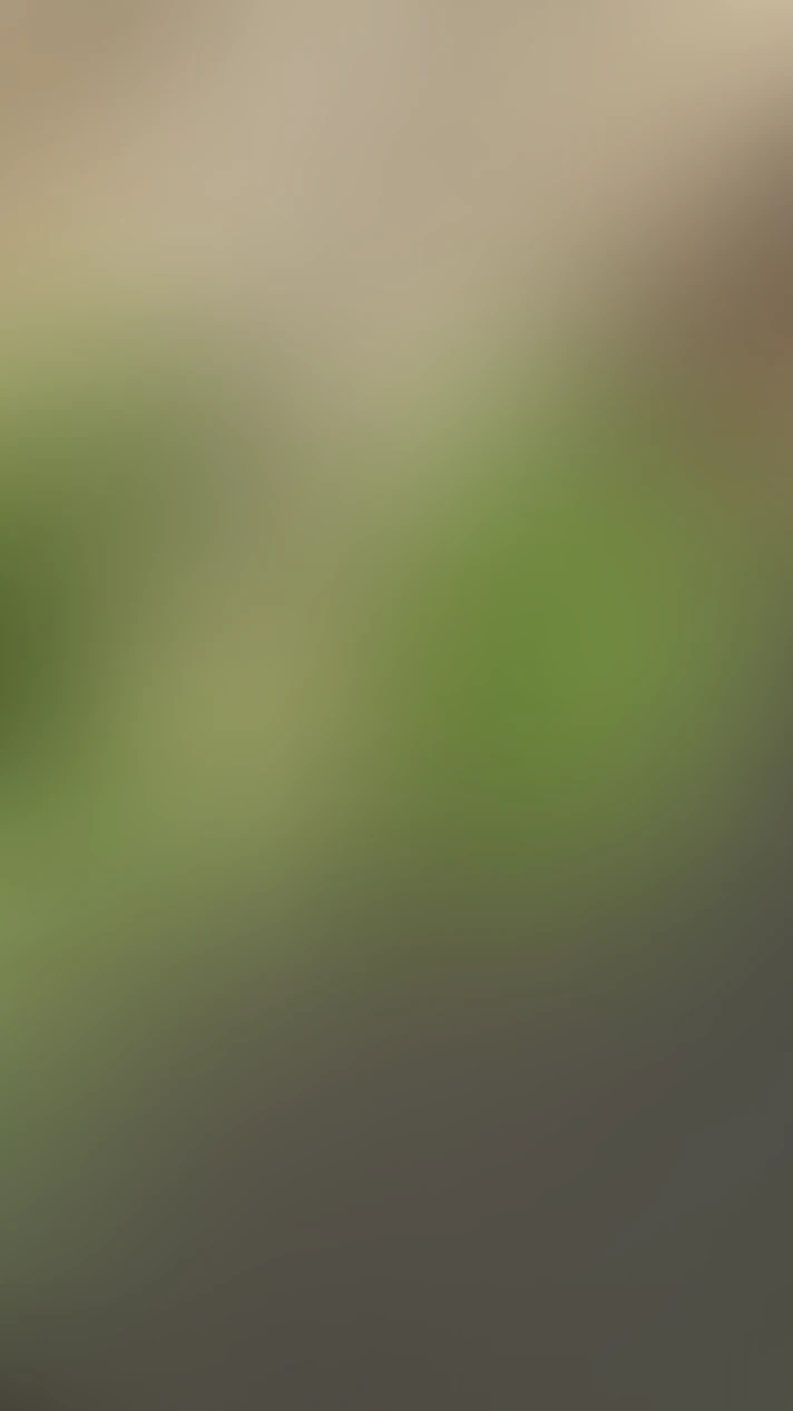 Video thumbnail background