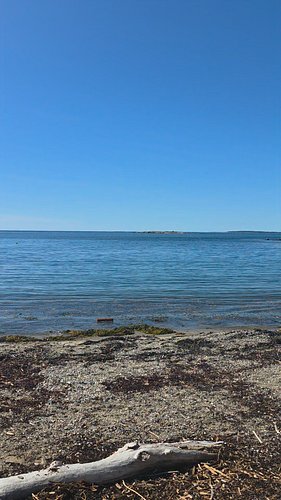 Coast of maine