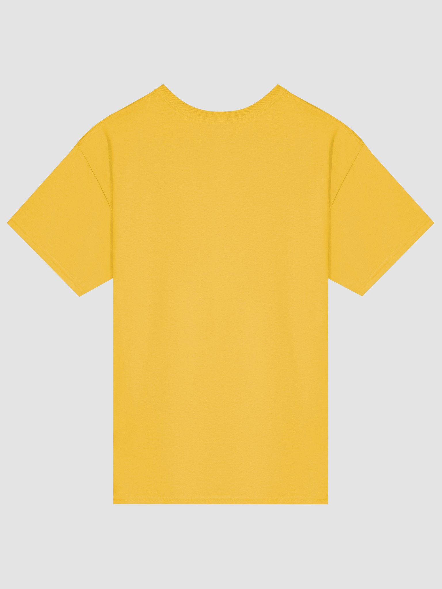 Not Today Jesus - Shirt product image (15)
