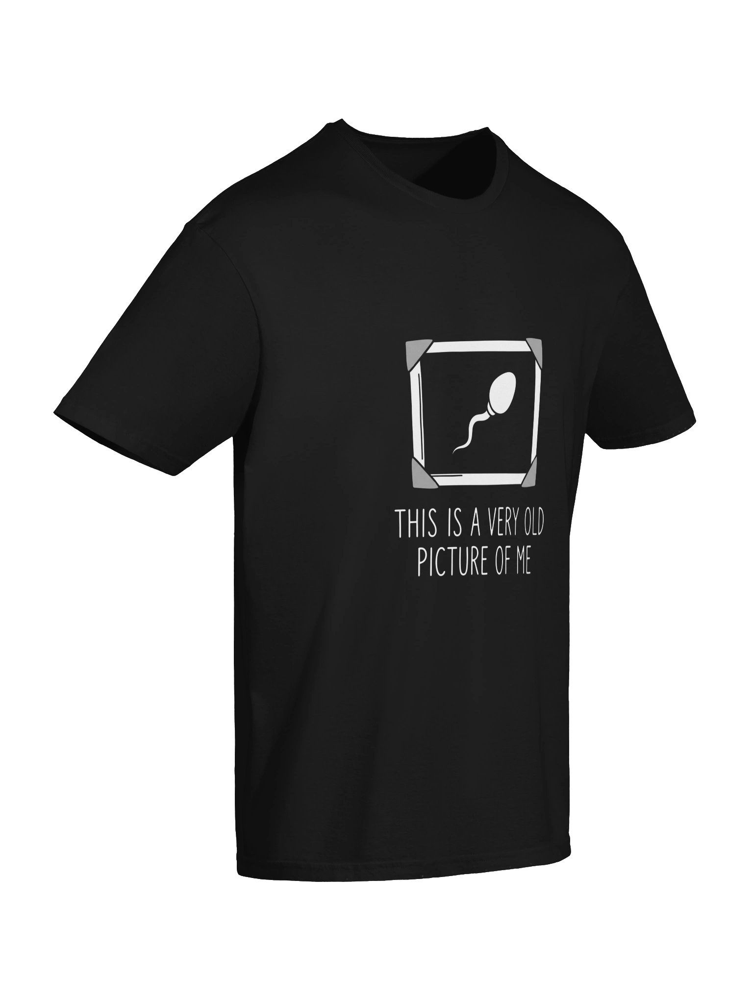 Funny "Very Old Picture of Me" Meme Sarcastic Unisex T-Shirt – Novelty Gag Tee product image (5)