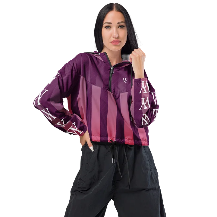 VY Stripe Cropped Windbreaker product image (1)