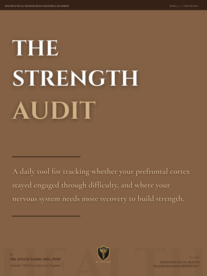 THE STRENGTH AUDIT product image (1)