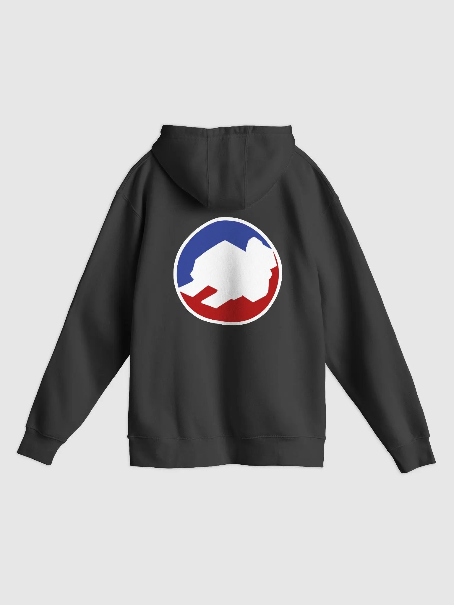 PolyChampions Hoodie product image (7)