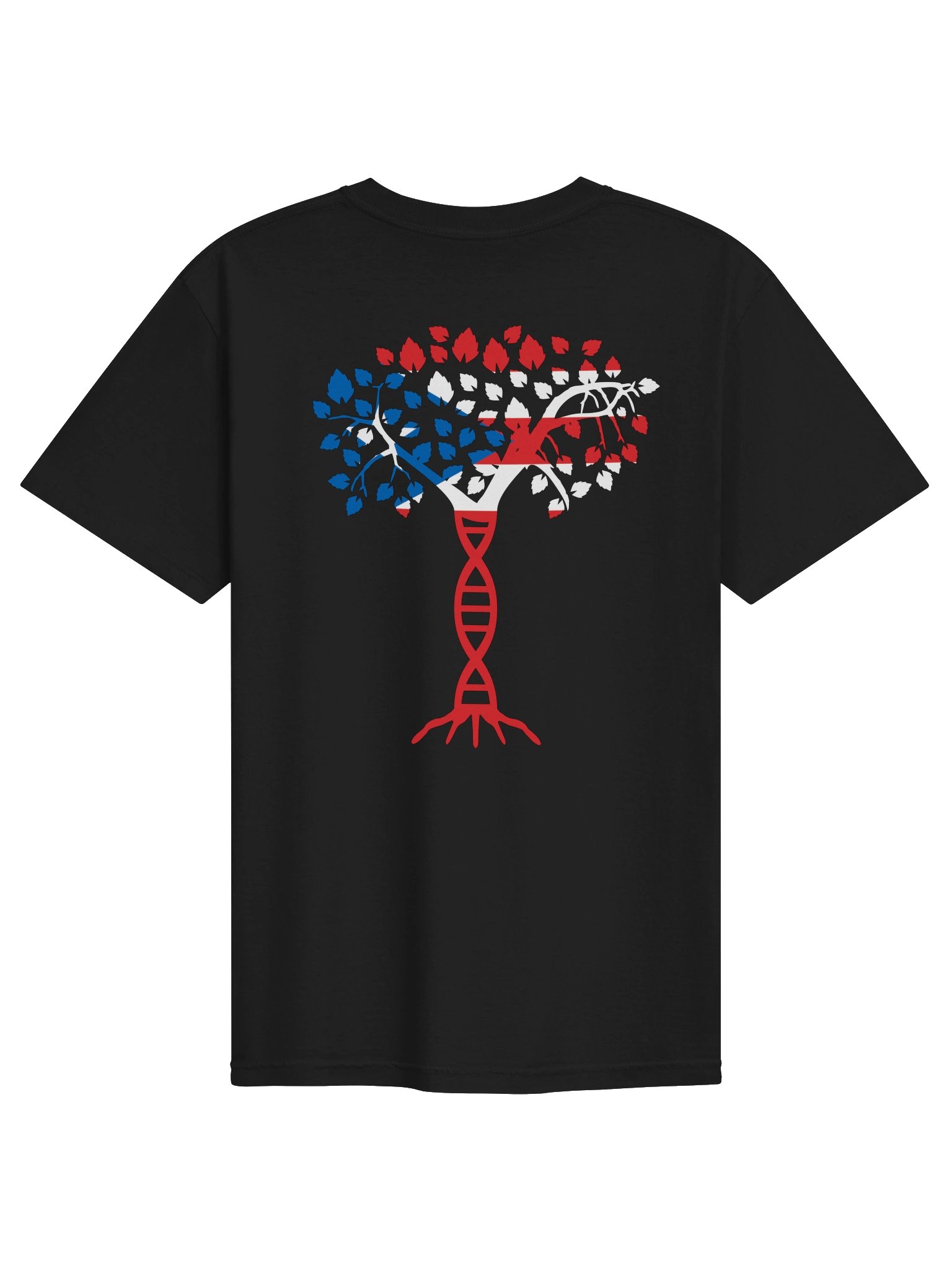 Puerto Rico DNA Streetwear Tee product image (21)