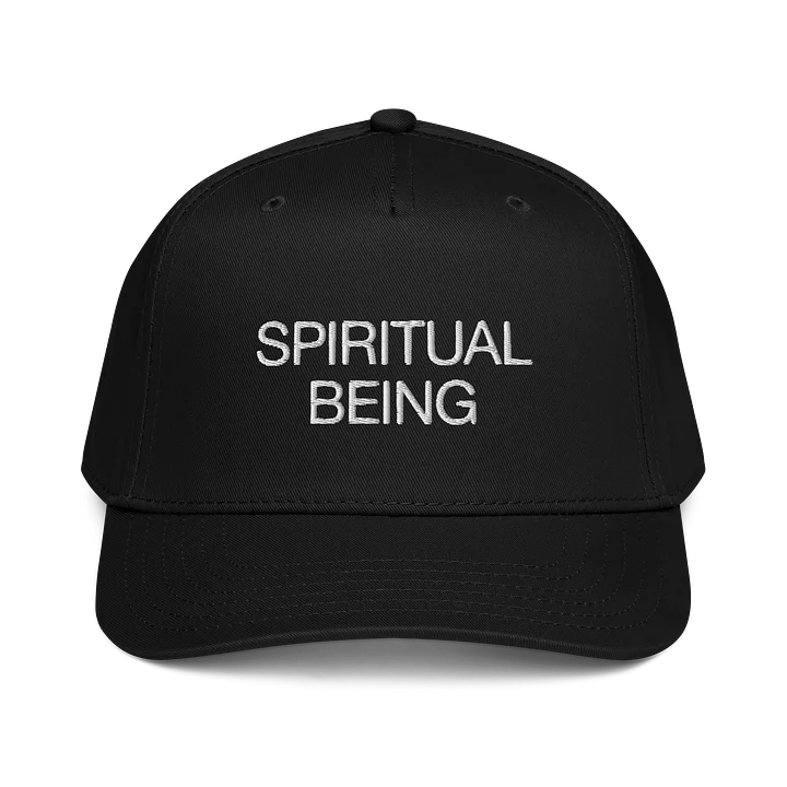Spiritual Being Hat product image (1)