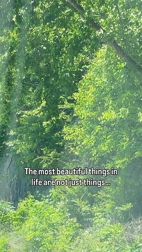 But this video has it right. When in doubt: DOGS

Perfect timing- just finished my latest YouTube video starring Qui the Salu...