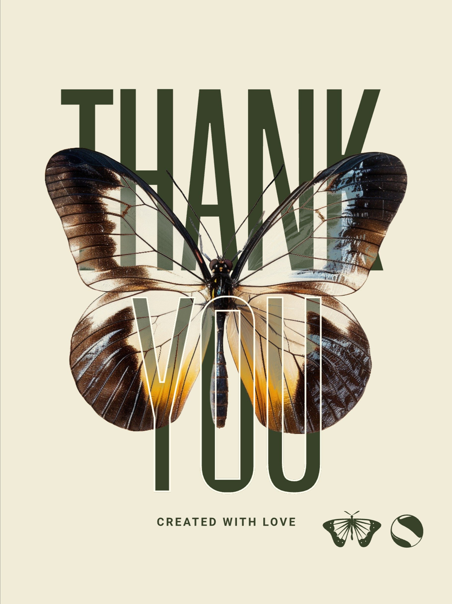 Transparent Wings Contemporary Art product image (5)