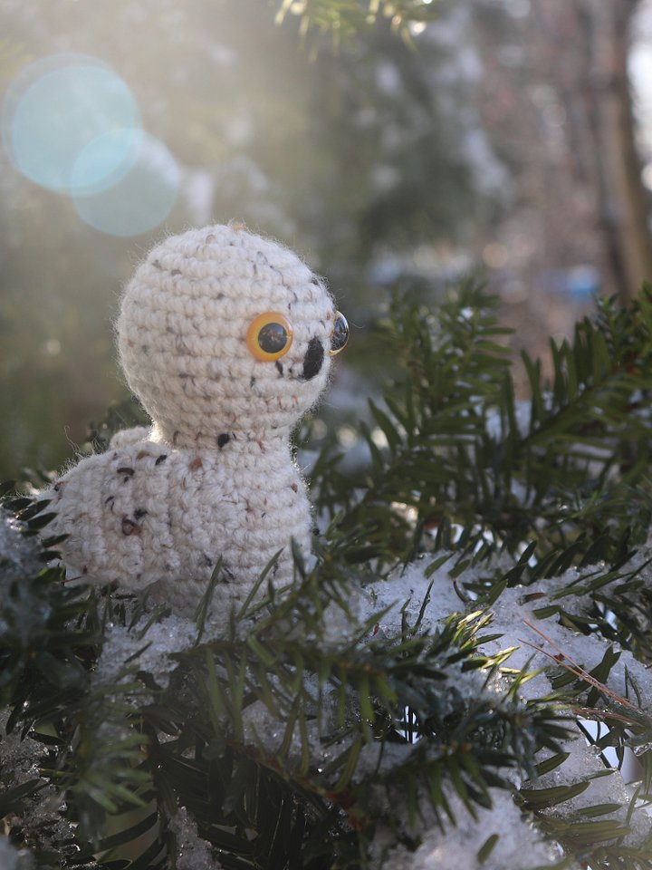 Snowy Owl PDF product image (2)