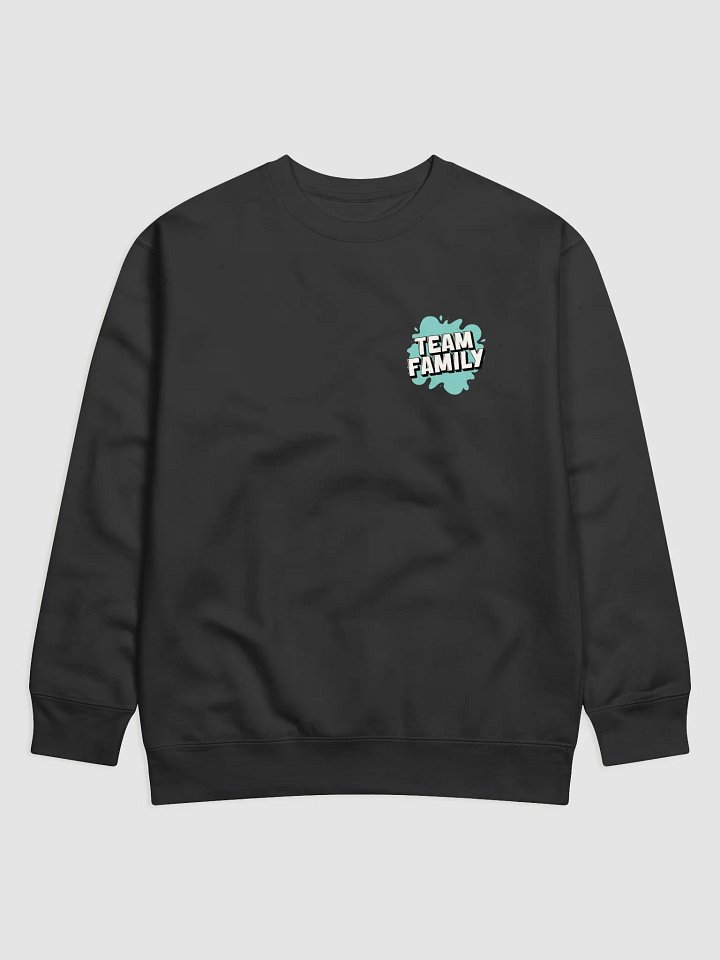 Team Family Sweatshirt Pocket Logo product image (1)