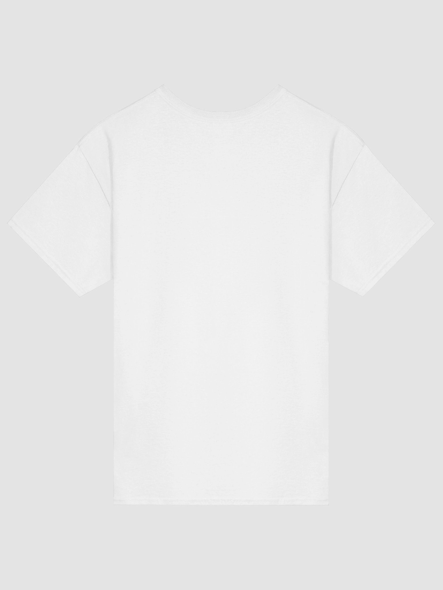 Virtruvian Frog Tee LIGHT product image (2)
