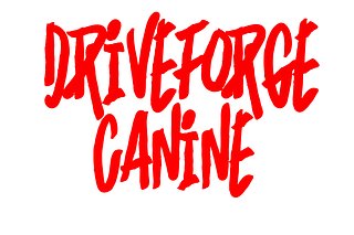 DriveForge Canine