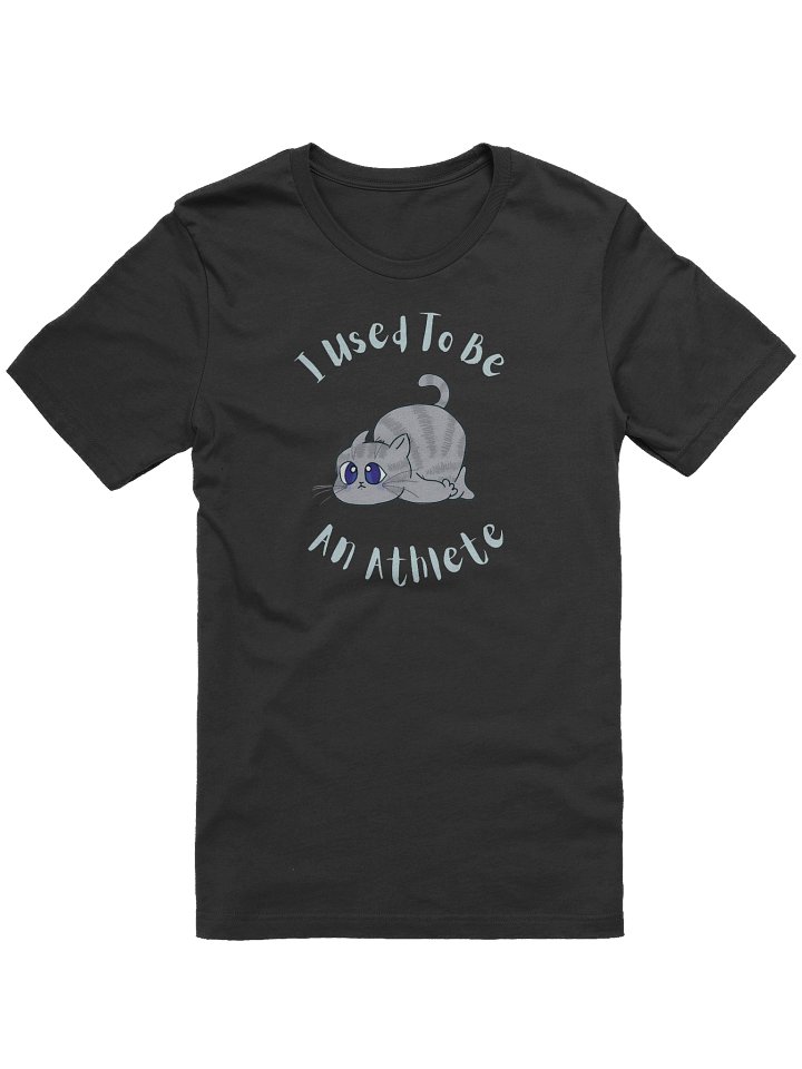 Chubby Cat Confession Tee product image (1)