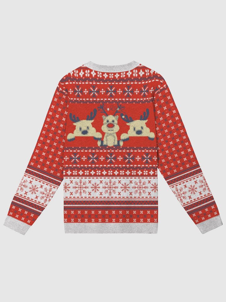 Festive Paws Knitted Crewneck product image (8)