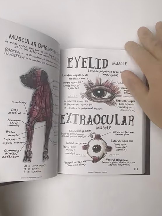 Vet Notes: Comparative Anatomy product image (4)
