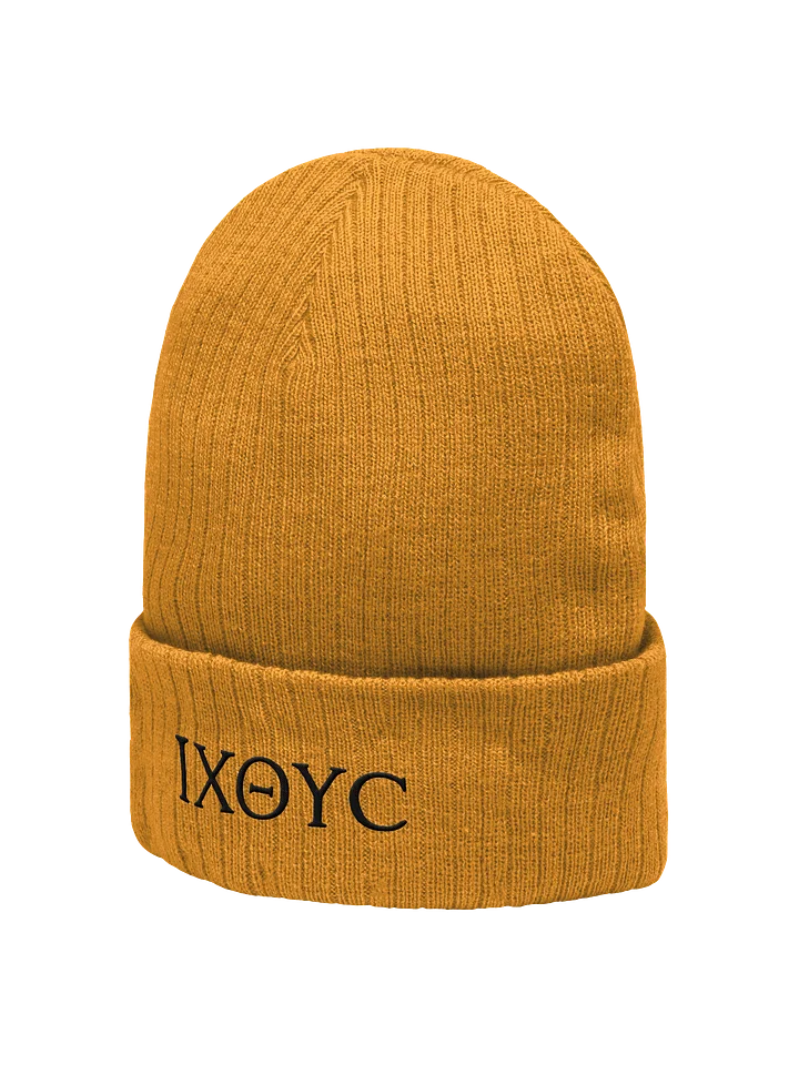 Ichtys Beanie product image (2)