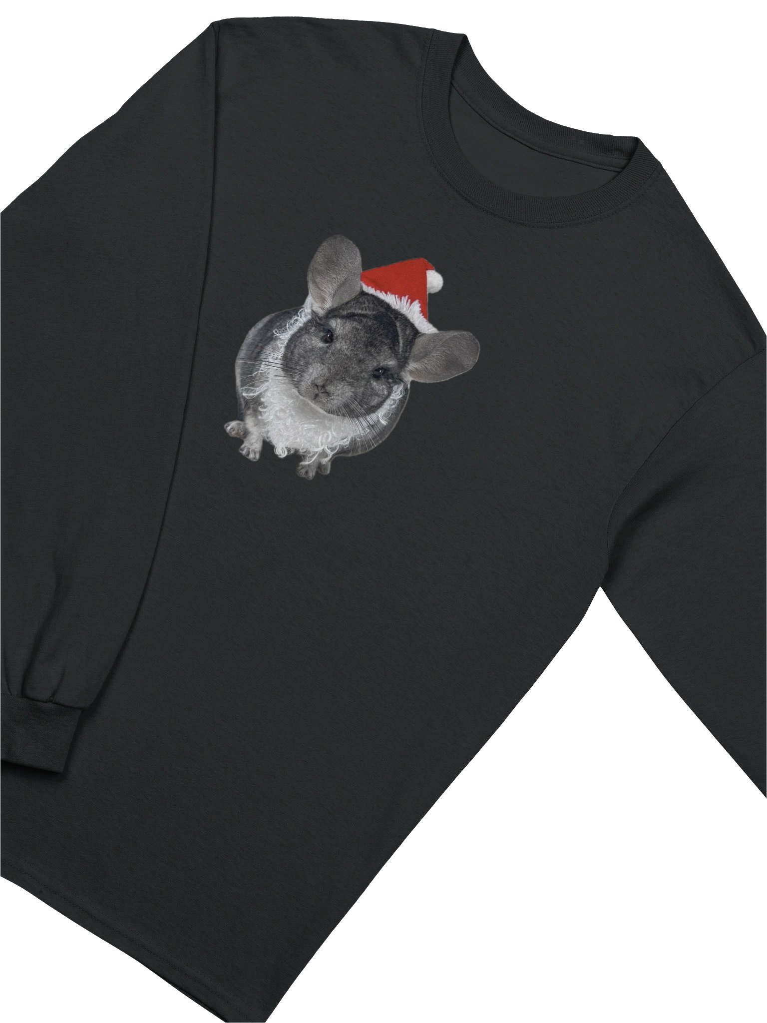 Philly Sant-Chilly Long Sleeve product image (3)