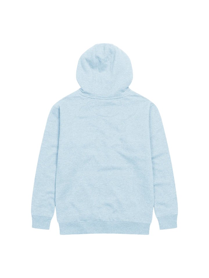 Organized Imagination Cotton Heritage Unisex Premium Hoodie product image (62)